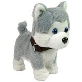  Plush Dog Interactive Educational Leash Songs Walks | shoptok.hr