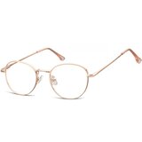 Berkeley naočare za kompjuter M298 | ePonuda.com