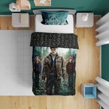 Baloo posteljina za decu Harry Potter 140x200+70x90cm Model 3 cene