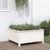  Vrtna sadilica bijela 82,5 x 82,5 x 39 cm od masivne borovine | shoptok.hr
