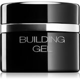 Pierre René Nails Hybrid gel za modeliranje za nokte 10 ml Cijene