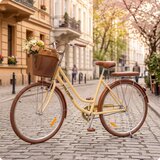 THUNDER Mestno žensko kolo Voltouri 28" – retro dizajn, jeklen okvir 17", košara in prtljažnik, (5000231312) | Shoptok.si