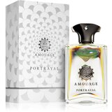 Amouage Portrayal Man parfumska voda 100 ml za moške | Shoptok.si