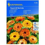 KIEPENKERL Profi-Line Sjeme cvijeća Neven Touch of red Mix (Calendula officinalis, Narančasta, Crvena) | shoptok.hr