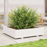  Vrtno cvetlično korito belo 100x100x26,5 cm trdna borovina | Shoptok.si