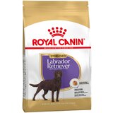 Royal Canin Ekonomično pakiranje: Breed - Sterilised Labrador Retriever Adult (2 x 12kg) Cijene