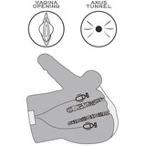 Lovetoy 2025 Masturbator Lovetoy Streetgirl's Sensation Pulse With Dildo | Shoptok.si
