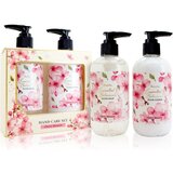 Accentra Essential Botanicals Hand Care Set darilni set 2 kos Cene