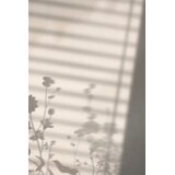 Venture Home poster Flower Shadow 30 × 40 cm, bijeli | shoptok.hr