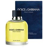Dolce & Gabbana Dolce Gabbana Pour Homme Eau de Toilette muški parfem, 125 ml Cene