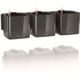 LECHUZA Okrasni lončki Green Wall Home Kit Glossy - Antracit visoki sijaj | Shoptok.si