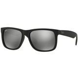 Ray-ban Sončna očala RB41656226G55 Črna Cene