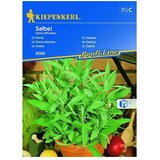 KIEPENKERL Profi-Line Zeliščna semena Žajbelj (Salvia officinalis, Čas setve: Marec, Čas žetve: Maj) | Shoptok.si