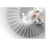  Tapeta - Domino Effect 300x210 | shoptok.hr