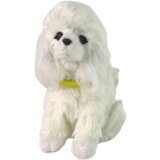  Interactive Plush Dog Soft fur Breed Poodle Stroke its head and learn its functions | shoptok.hr