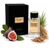 Dolce & Gabbana Velvet Vetiver parfemska voda unisex 100 ml | shoptok.hr