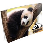  Risalni blok A3, 20 listni, Panda | Shoptok.si