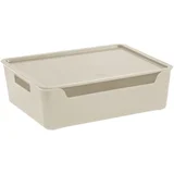 škatla/zaboj Bella 36X2/8X11 cm (XXL), angora, 3462936