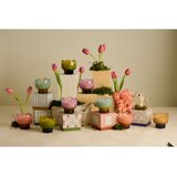 Paddywax Tulip Verbena & Lemongrass mirisna svijeća 155 g | shoptok.hr