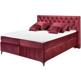 MID.YOU POSTELJA BOXSPRING 180 cm x 200 cm , tekstil, leseni material lila | Shoptok.si