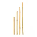 Štap od bambusa 235cm V006678