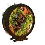  Li-Go 23654 - LED prigušiva stona dekoracija LED/12W/230V 20x22 cm mahovina | Eponuda.com