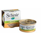 Schesir cat adult tunjevina & pastrmka brodet konzerva 70g hrana za mačke Cene