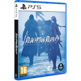 Redemption Reapers (PS5) | Shoptok.si