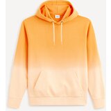 Celio Dearc Hoodie - Men Cijene