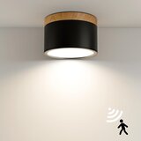 QHENS LED stropna svetilka s senzorjem gibanja 12W Cene