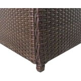 vidaXL Vrtna škatla rjava 120x50x60 cm poli ratan, (20579973) | Shoptok.si