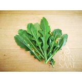 ReinSaat Rukola Wasabi | Shoptok.si
