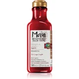 Strength & Lenght + Agave šampon za okrepitev las za kemično obdelane lase 385 ml