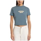 Dickies DK0A4Z8FG701 CENTER LOGO Plava Cijene
