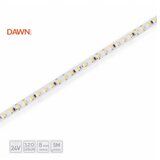 Dawn led traka hl 2835-120-WW 24V IP20 (5met, 12W/m, 8mm) Cene