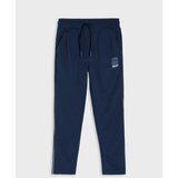 Sinsay Sportske jogger hlače s reflektirajućim printom Active | shoptok.hr
