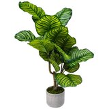 Master Cvijeće ukrasno umjetno 90cm Calathea 750-22 Cijene