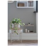 House Nordic Umetna rastlina (višina 33 cm) Hoya Carnosa – | Shoptok.si