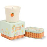 Paddywax Bistro Citrus Spritz mirisna svijeća 226 g | shoptok.hr
