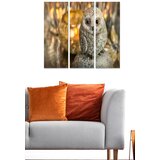 Wallity Set slika MDF3862225, 3 dijela | Eponuda.ba