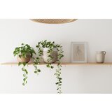 Artevasi Keramička ručno rađena tegla za cvijeće ø 26 cm Antheia – | shoptok.hr