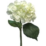  Cvet HYDRANGEA 48cm 12275-0 - Cream - NNT Cene