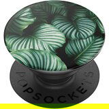 Popsockets popgrip tropical design držalo in nosilec za video za pametni telefon, (20637714) Cene