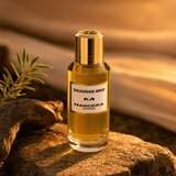 MANCERA Saharian Wind parfemska voda unisex 60 ml | shoptok.hr