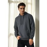 Dewberry 12612 Hooded Kangaroo Pocket Mens Sweatshirt-ANTHRACITE | shoptok.hr
