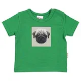 majica za bebe 515325