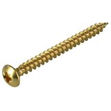 STABILIT Vijak za iverne plošče (Ø x Do: 3 x 20 mm, Medeninasta prevleka, 30 kos, Oblika leče, Glava Phillips (Pozidriv)) | Shoptok.si