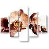  Slike na platnu cveće (moderne slike na platnu) | ePonuda.com