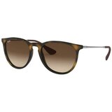 Ray-ban rb4171-865/13 54 erika | Eponuda.com
