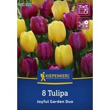 KIEPENKERL Tulipani "Mix Joyful Garden" - 8 k. | Shoptok.si